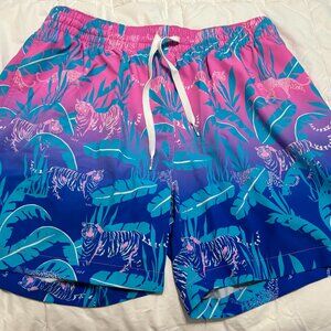 Rare Chubbies: The Hydrofoils 5.5" (Lined Classic Swim Trunk)